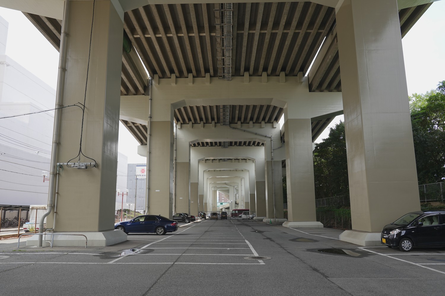 福岡サンパレス 第2駐車場の駐車エリア