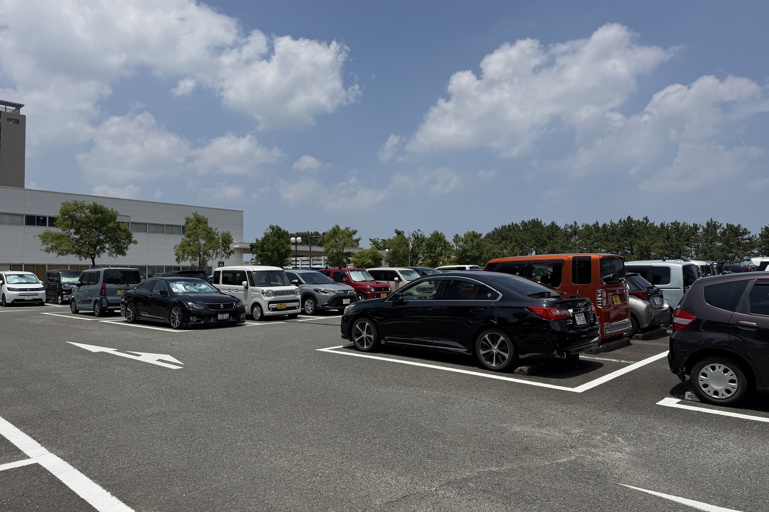 駐車区画の様子