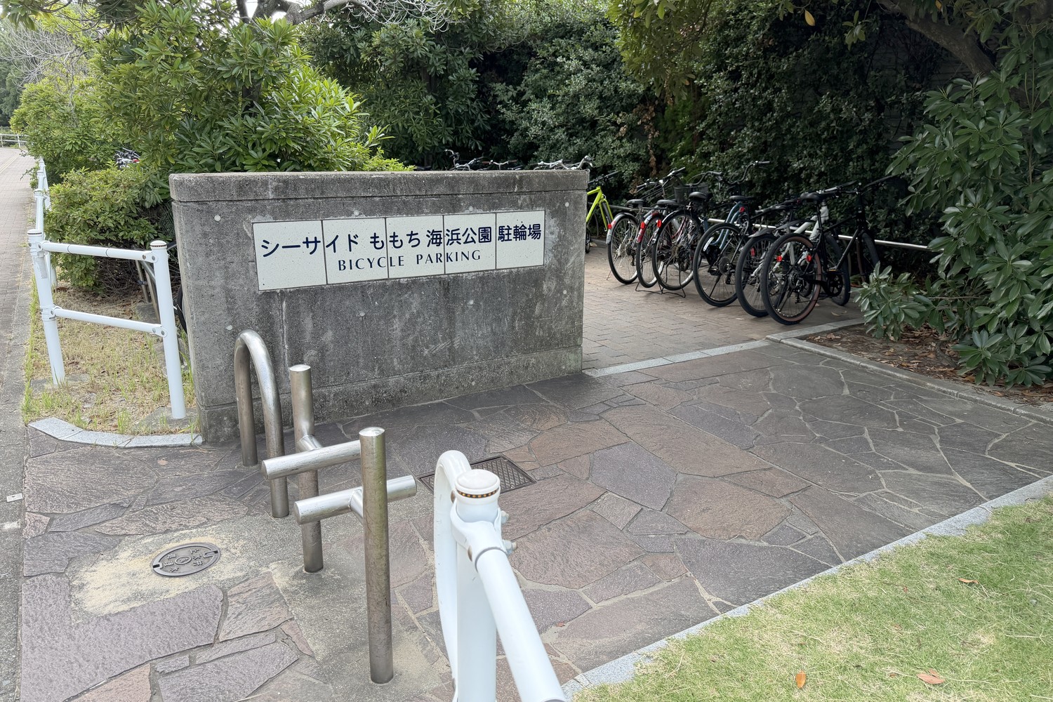 シーサイドももち海浜公園 中央プラザ・百道浜西駐車場(計222台)|5時間以上は最大1,000円【福岡タワー裏】 駐輪場2