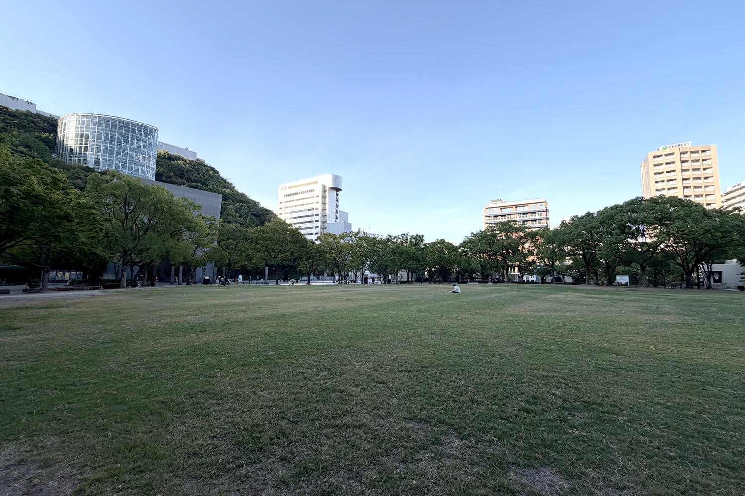 天神中央公園の芝生広場