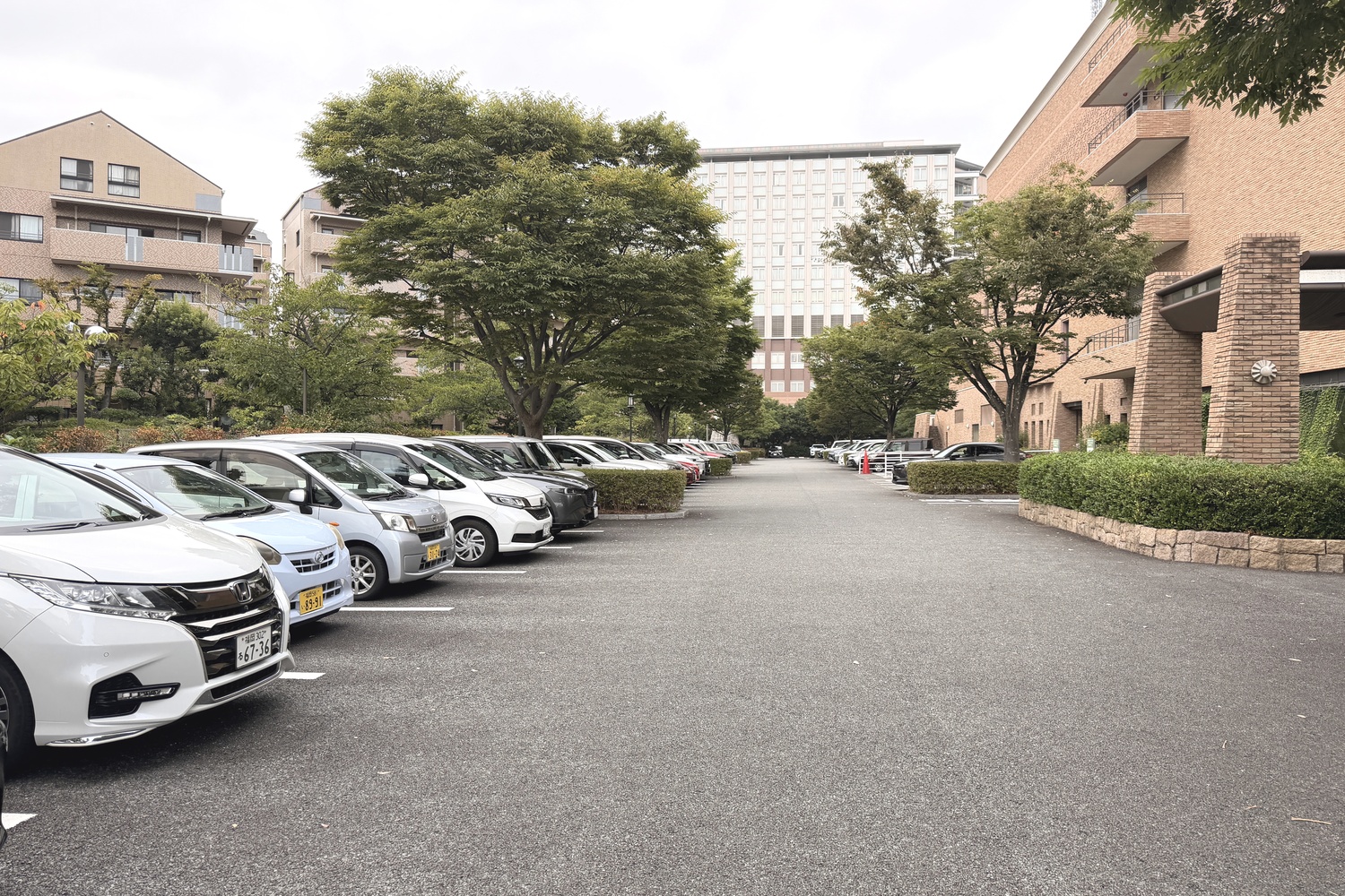 福岡市総合図書館 駐車場の駐車エリア